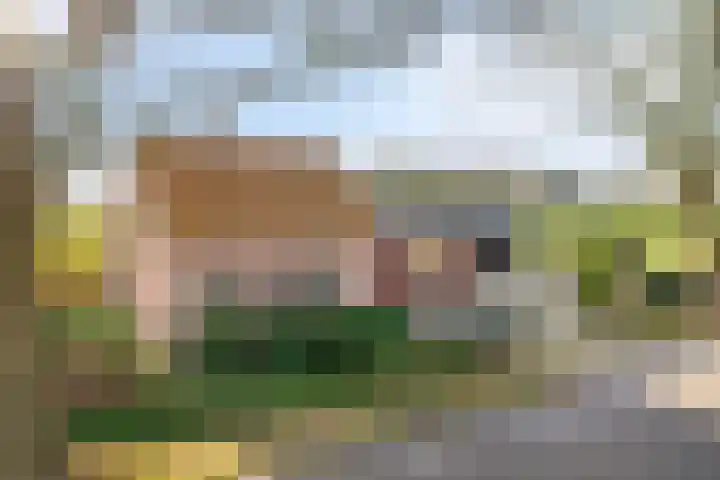 Hilsebaan 274 Etten-Leur thumbnail 44
