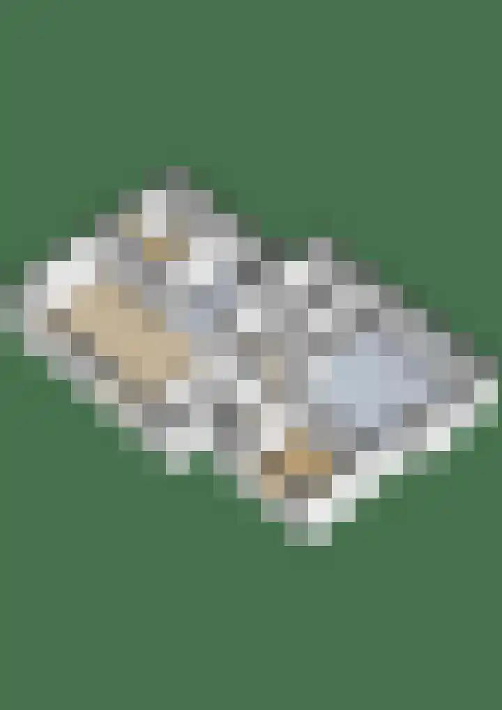 Hilsebaan 274 Etten-Leur thumbnail 49