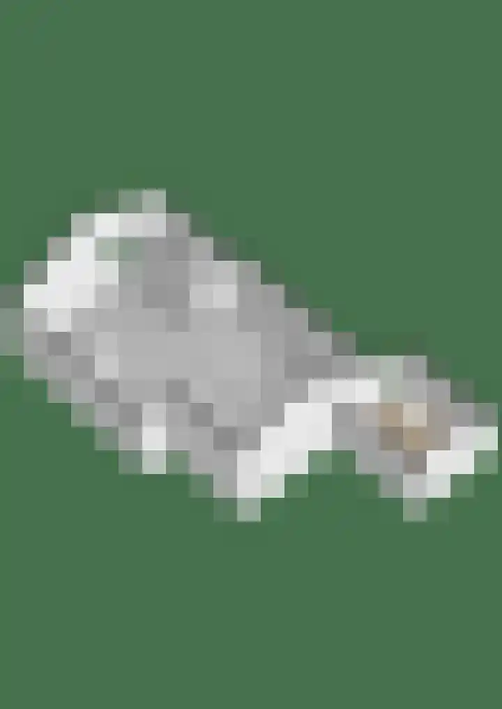 Hilsebaan 274 Etten-Leur thumbnail 53