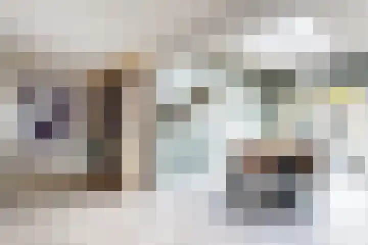 Hilsepoort 10 Klundert thumbnail 19