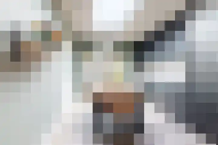 Hilsepoort 10 Klundert thumbnail 23