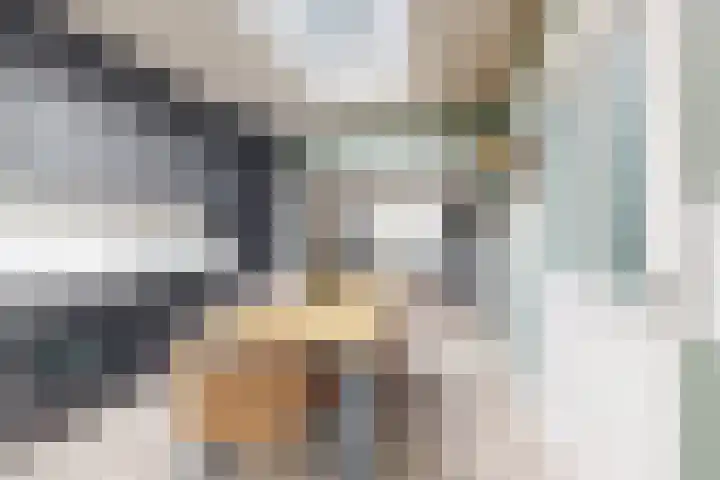 Hilsepoort 10 Klundert thumbnail 27
