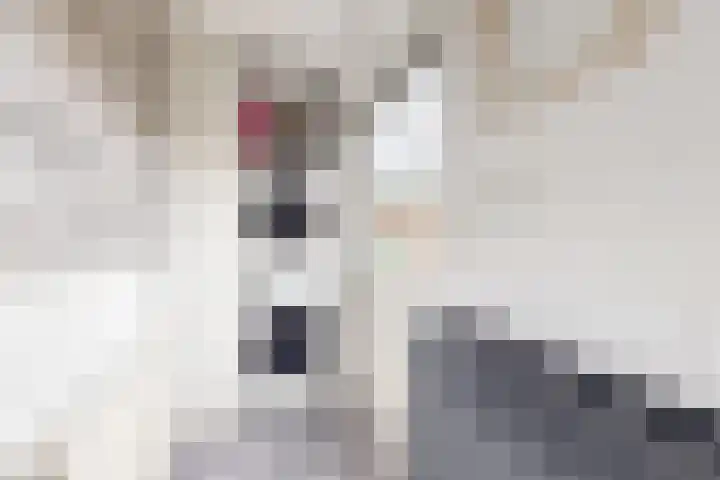 Hilsepoort 10 Klundert thumbnail 28