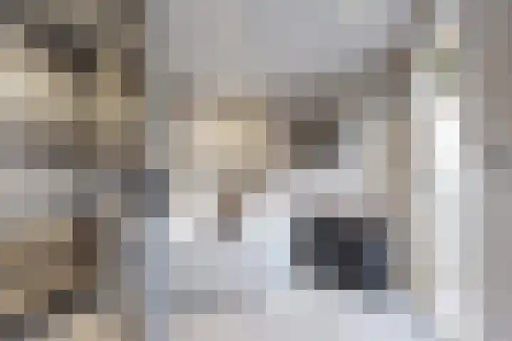 Hilsepoort 10 Klundert thumbnail 31