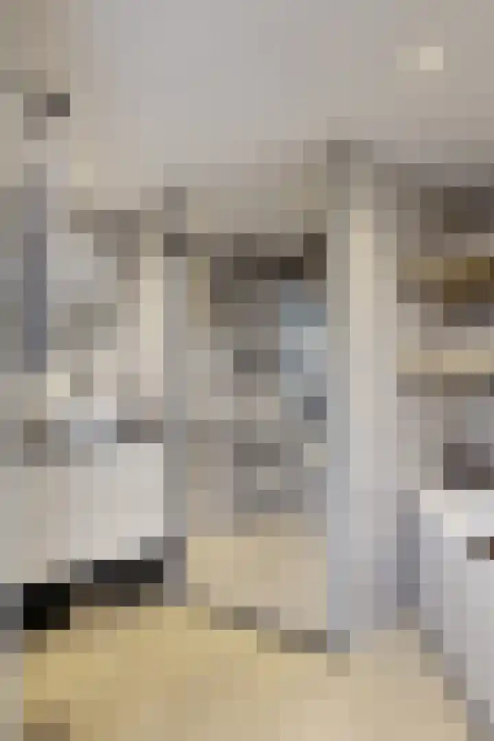 Hilsepoort 10 Klundert thumbnail 32