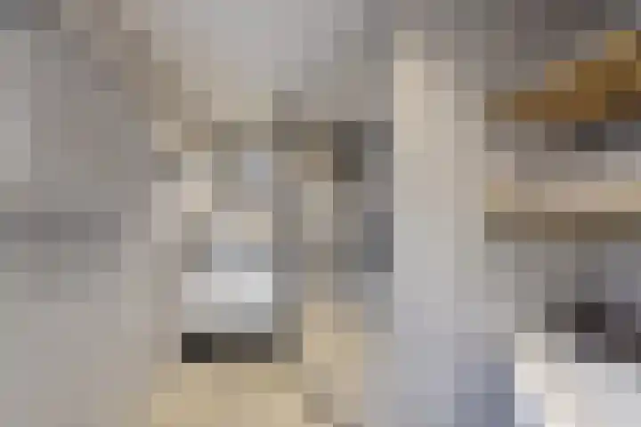 Hilsepoort 10 Klundert thumbnail 33
