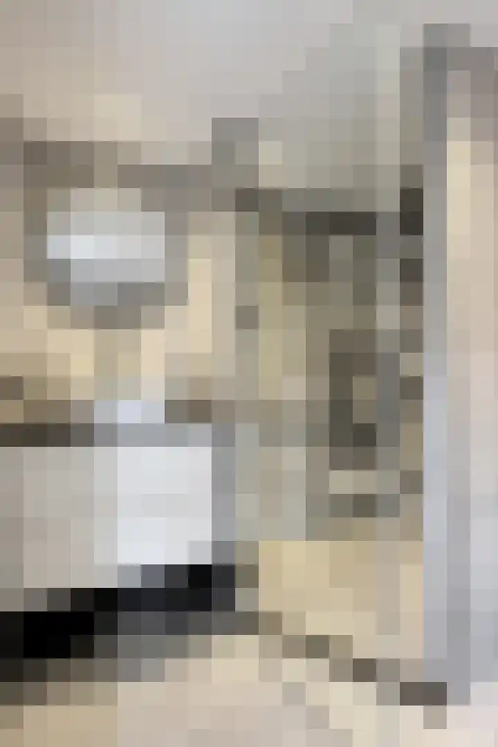 Hilsepoort 10 Klundert thumbnail 34