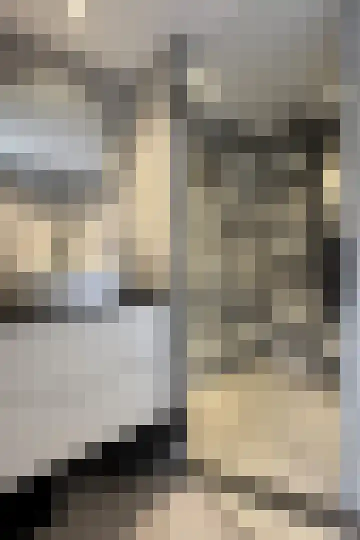 Hilsepoort 10 Klundert thumbnail 35