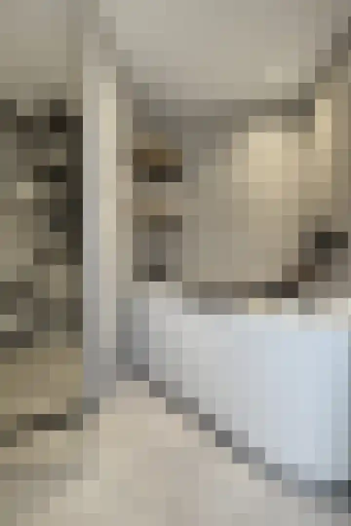 Hilsepoort 10 Klundert thumbnail 36