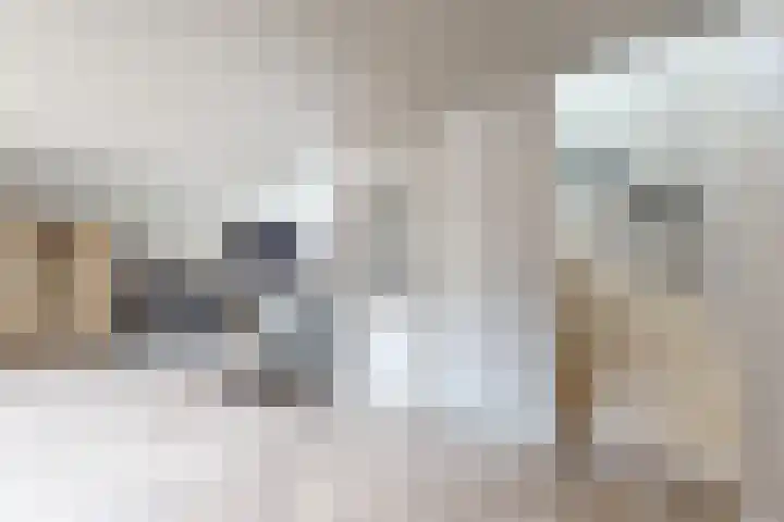 Hilsepoort 10 Klundert thumbnail 37
