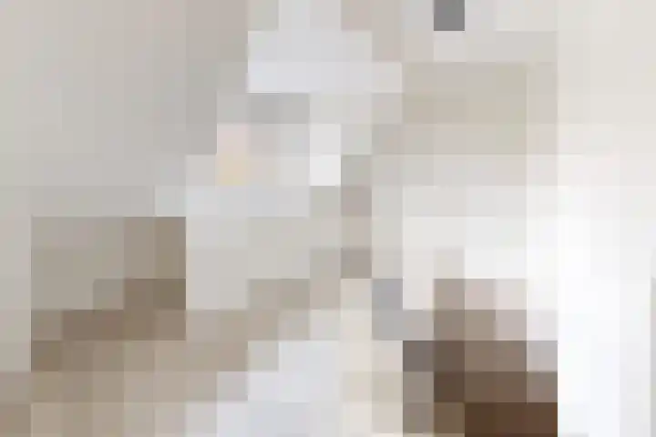 Hilsepoort 10 Klundert thumbnail 38