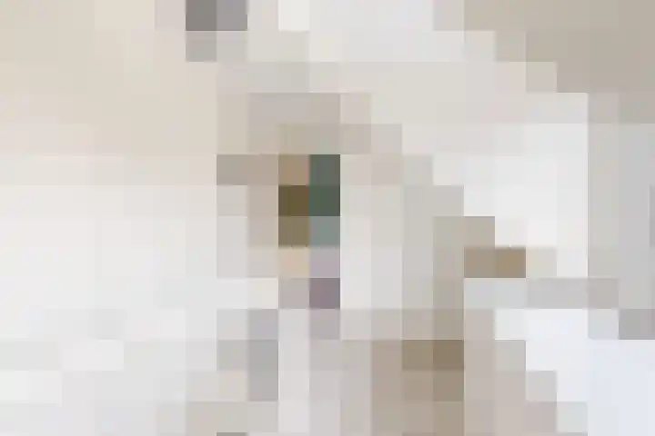 Hilsepoort 10 Klundert thumbnail 39