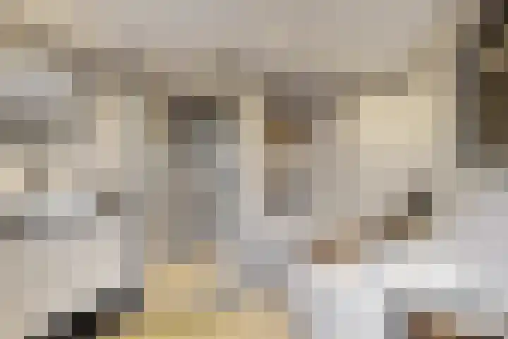 Hilsepoort 10 Klundert thumbnail 4
