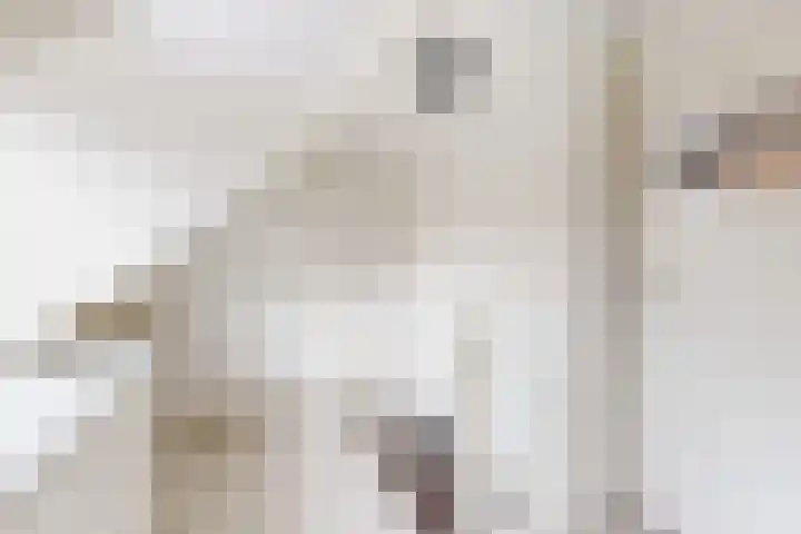 Hilsepoort 10 Klundert thumbnail 40