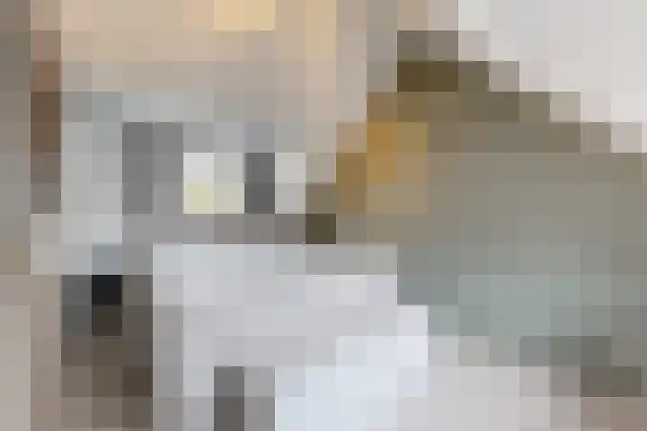 Hilsepoort 10 Klundert thumbnail 41