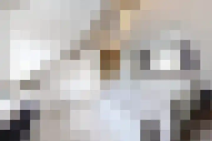 Hilsepoort 10 Klundert thumbnail 43