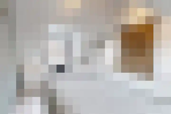 Hilsepoort 10 Klundert thumbnail 44