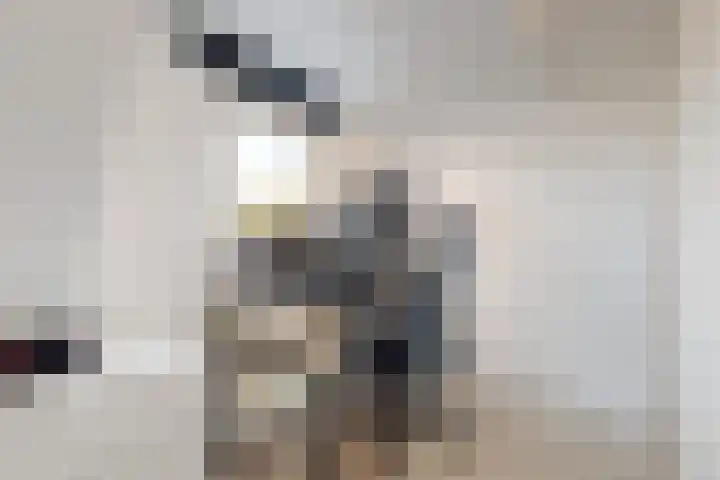 Hilsepoort 10 Klundert thumbnail 46