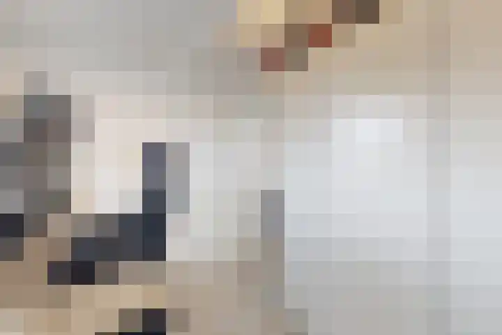 Hilsepoort 10 Klundert thumbnail 47
