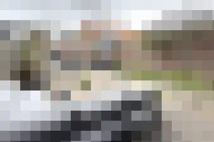Hilsepoort 10 Klundert thumbnail 55