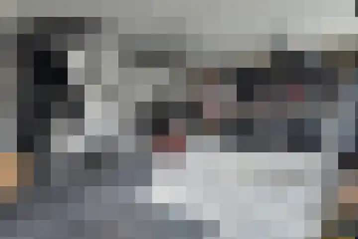 Hilsepoort 10 Klundert thumbnail 7