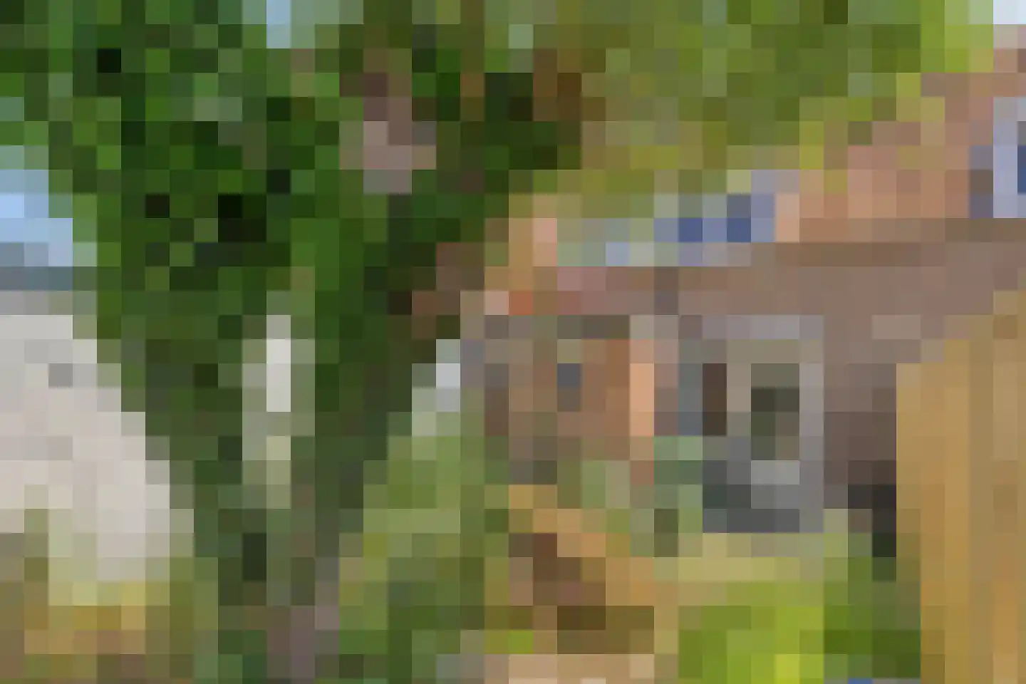 Hilsepoort 16 Klundert thumbnail 10