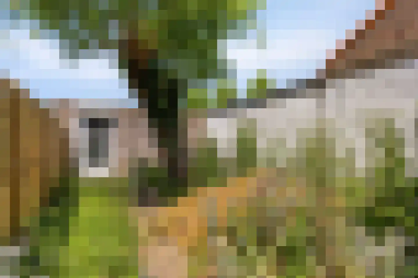 Hilsepoort 16 Klundert thumbnail 6