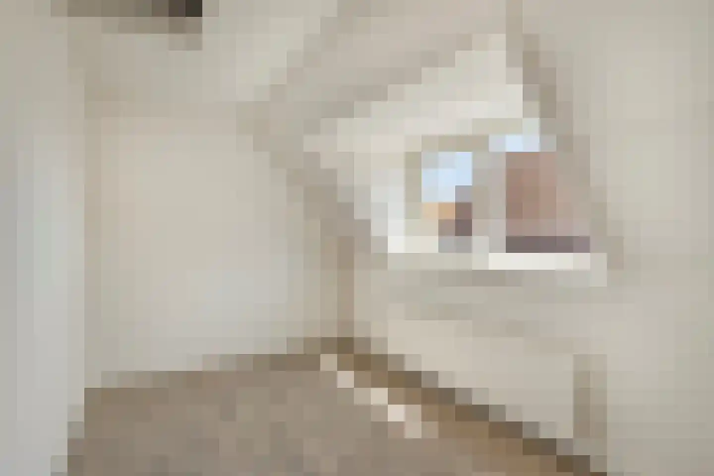 Hilsepoort 18 Klundert thumbnail 15