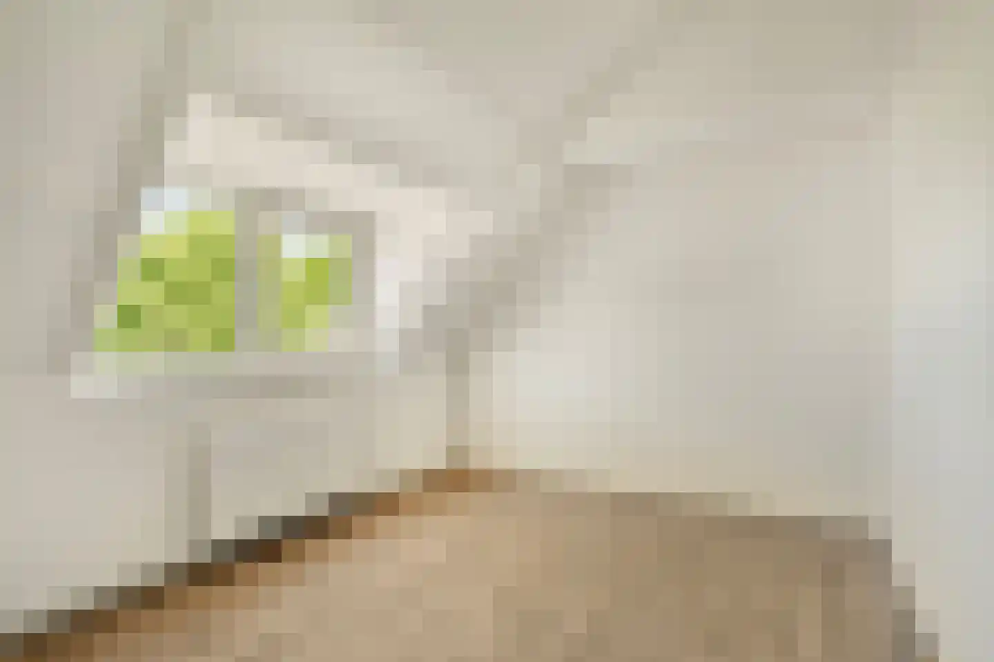 Hilsepoort 18 Klundert thumbnail 19
