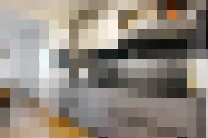 Hilsepoort 3 Klundert thumbnail 10