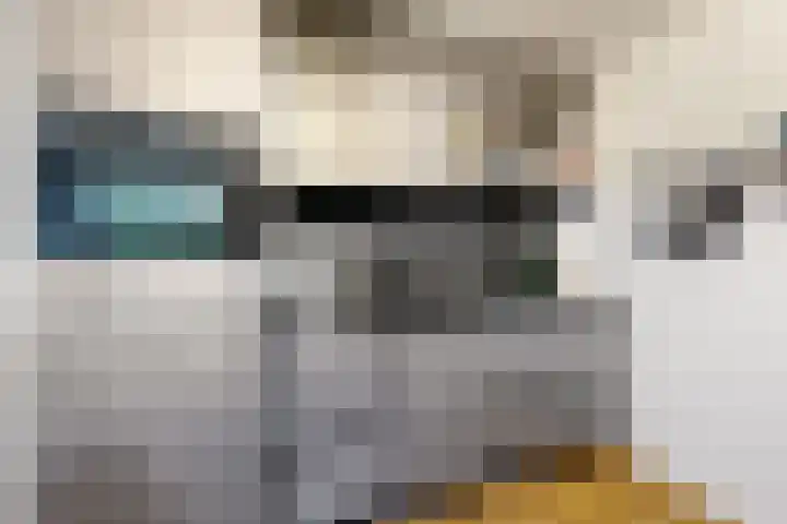 Hilsepoort 3 Klundert thumbnail 12
