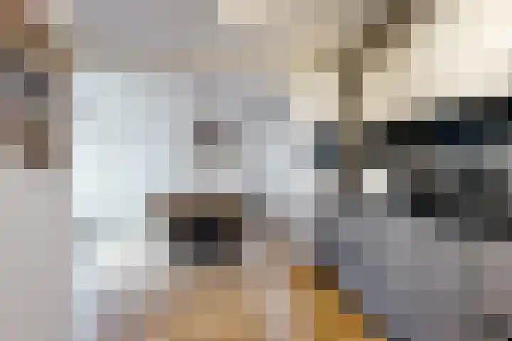 Hilsepoort 3 Klundert thumbnail 13