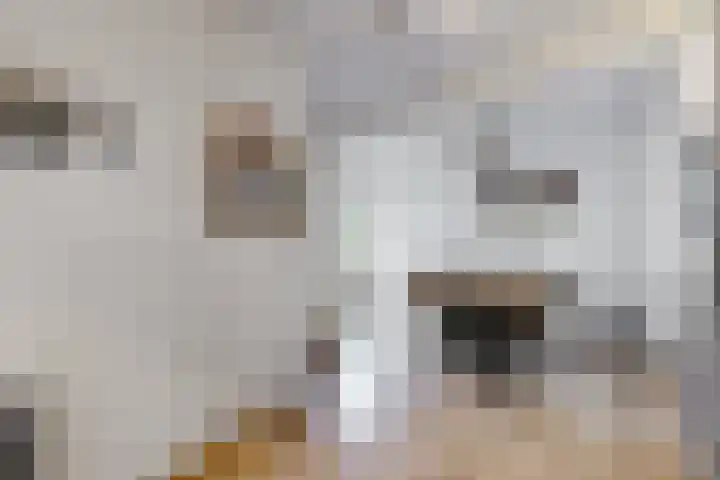 Hilsepoort 3 Klundert thumbnail 14