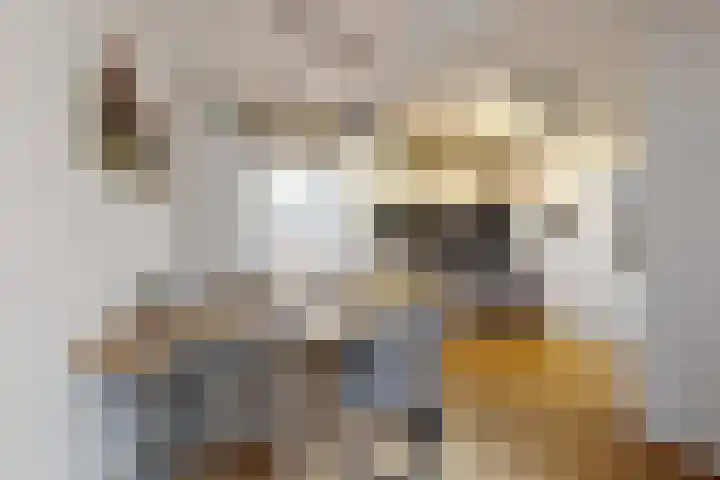 Hilsepoort 3 Klundert thumbnail 16