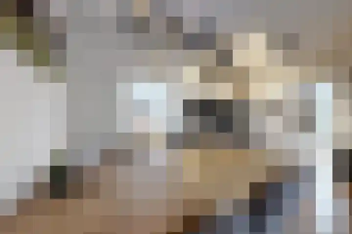 Hilsepoort 3 Klundert thumbnail 17