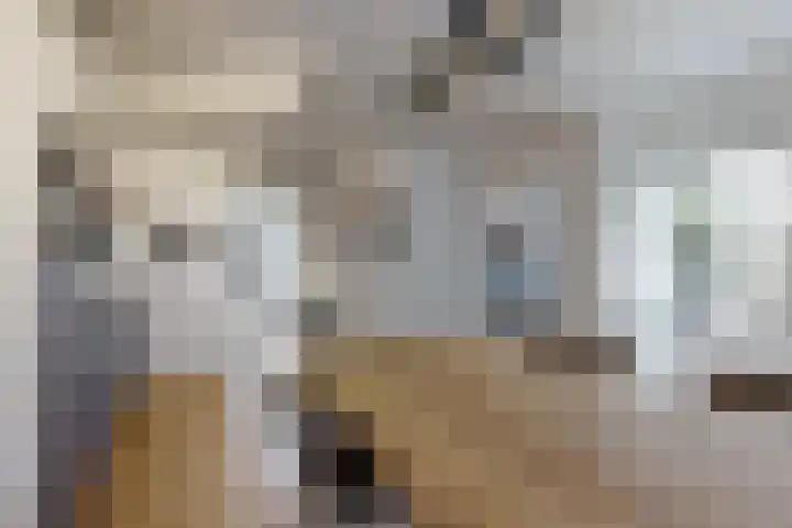 Hilsepoort 3 Klundert thumbnail 18