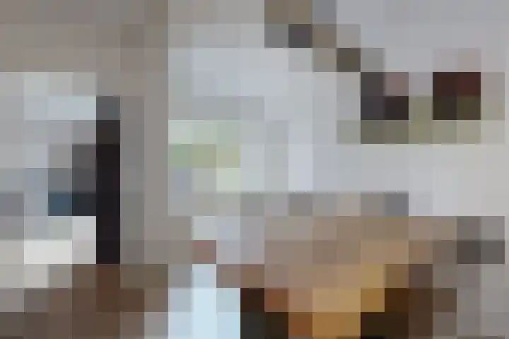 Hilsepoort 3 Klundert thumbnail 19