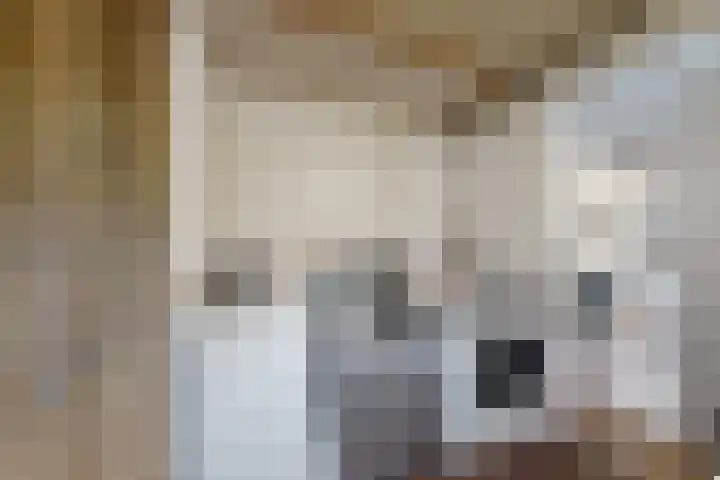 Hilsepoort 3 Klundert thumbnail 20