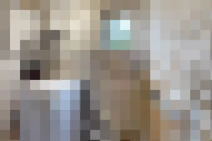 Hilsepoort 3 Klundert thumbnail 21