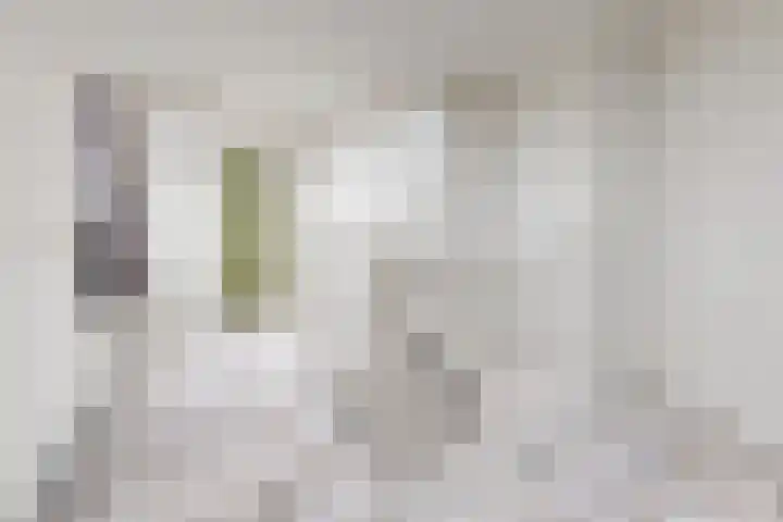 Hilsepoort 3 Klundert thumbnail 26