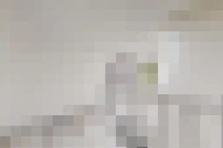 Hilsepoort 3 Klundert thumbnail 27