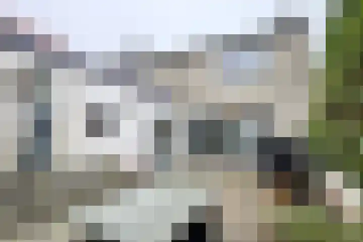 Hilsepoort 3 Klundert thumbnail 45