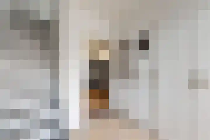 Hilsepoort 3 Klundert thumbnail 9
