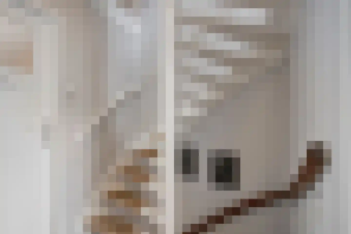 Hilsestraat 26 Kaatsheuvel thumbnail 19
