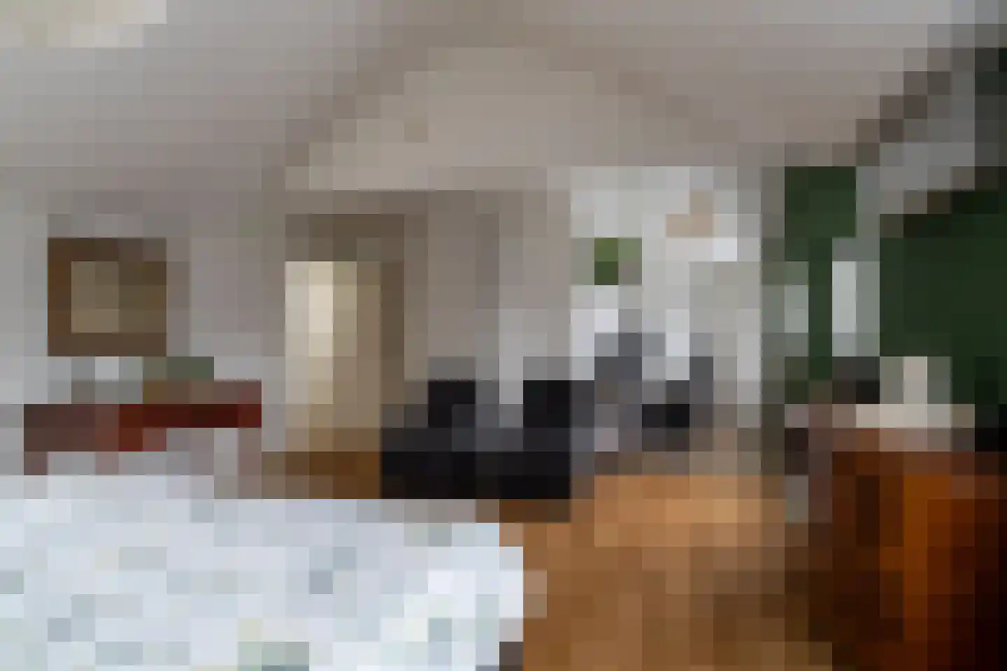 Hilsestraat 41 Kaatsheuvel thumbnail 14