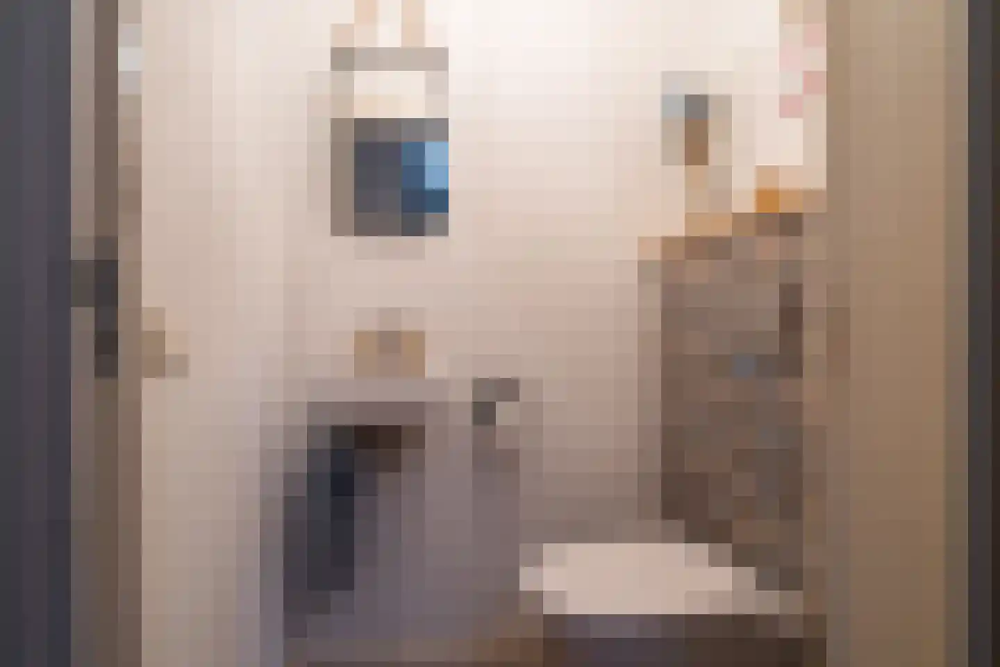 Hilsestraat 41 Kaatsheuvel thumbnail 7