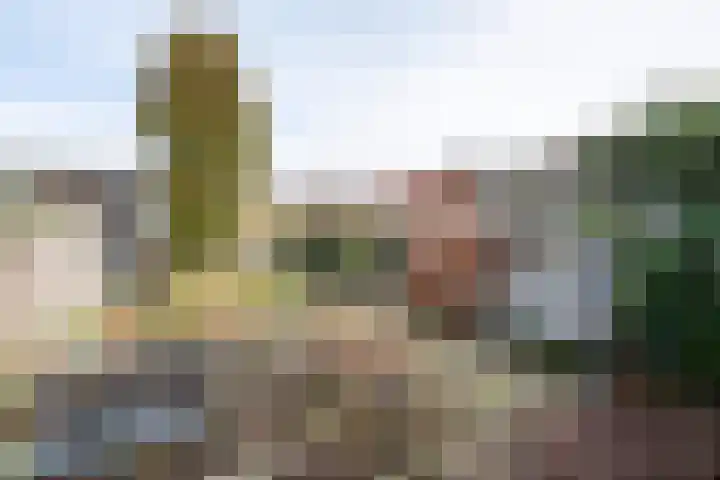 Hilsestraat 77 Kaatsheuvel thumbnail 33