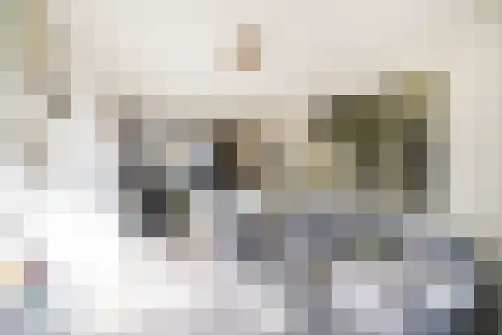 Hilsestraat 77 Kaatsheuvel thumbnail 4