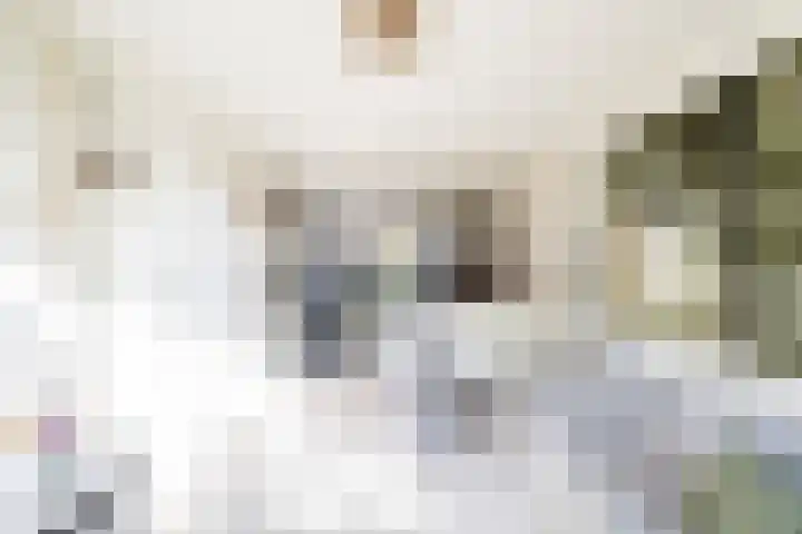 Hilsestraat 77 Kaatsheuvel thumbnail 9