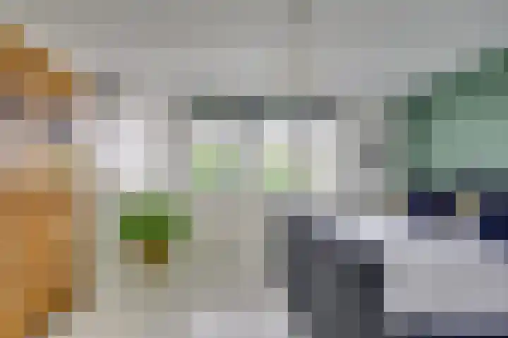 Hilsondusstraat 109 Strijen thumbnail 4
